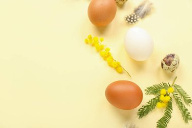 Easter eggs, mimosa flowers and feathers on yellow background