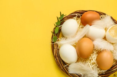 Nest with Easter eggs, feathers and eucalyptus branches on yellow background