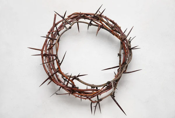 Crown of thorns on white background