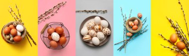 Collage with Easter eggs and pussy willow branches on color background, top view