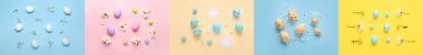 Collage with beautiful Easter eggs and flowers on color background