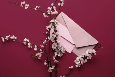 Beautiful blooming spring branches and envelope on viva magenta background