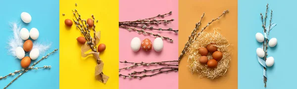 Collage Easter Eggs Pussy Willow Branches Color Background Top View — Foto Stock