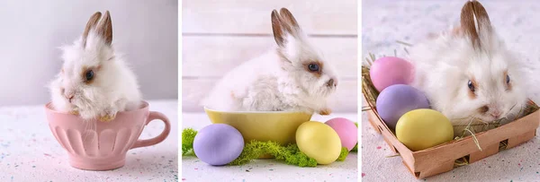 Collage Con Simpatici Coniglietti Uova Pasqua Sfondo Chiaro — Foto Stock