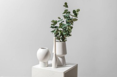 Vases with eucalyptus branches and candle on table near grey wall