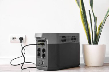 Portable power station and houseplant near light wall in room