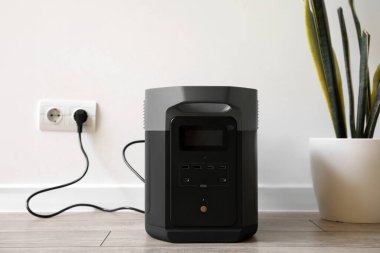 Portable power station and houseplant near light wall in room