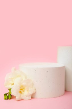 Podiums with beautiful flowers on pink background. Hello spring