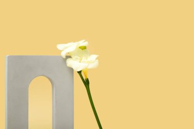 Podium with beautiful flowers on beige background. Hello spring