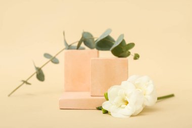Podiums with beautiful flowers and eucalyptus branch on beige background. Hello spring