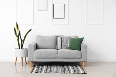 Interior of light living room with grey sofa, houseplant and rug