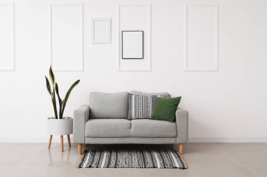 Interior of light living room with grey sofa, houseplant and rug