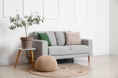 Interior of light living room with grey sofa, houseplant and pouf