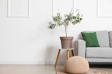 Interior of light living room with grey sofa, houseplant and pouf