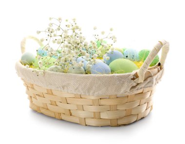 Basket with painted Easter eggs and gypsophila flowers on white background