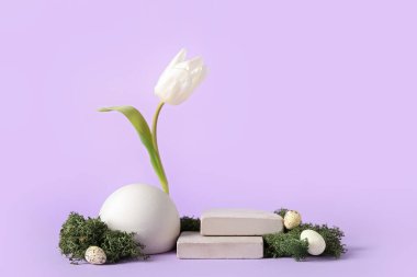 Composition with podiums, tulip flower, Easter eggs and moss on lilac background