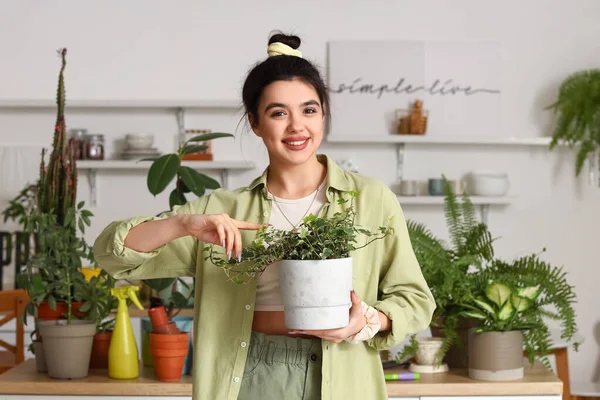 Young Woman Green Houseplant Kitchen — Stock Photo, Image