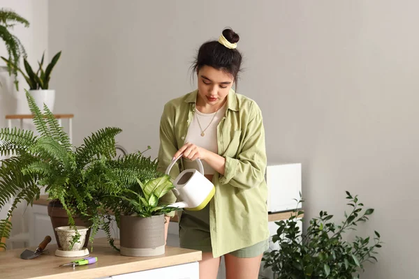 Young Woman Watering Green Houseplant Kitchen — Stock Photo, Image