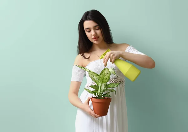 Young Woman Spraying Water Houseplant Green Background — Stock Photo, Image