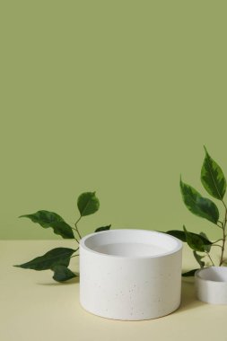 Plaster podium and ficus branches on green background