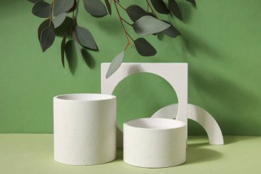 Plaster podiums and eucalyptus branches on green background