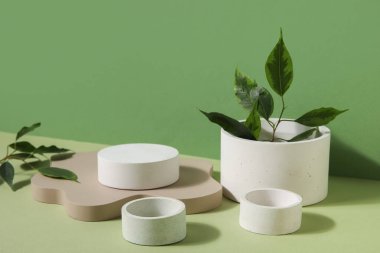 Plaster podiums and ficus branches on green background