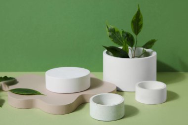 Plaster podiums and ficus branches on green background