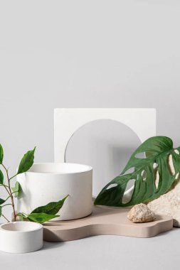 Plaster podiums with monstera leaf and ficus branch on white background