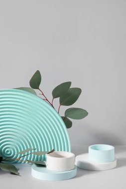Plaster podiums and eucalyptus branches on white background