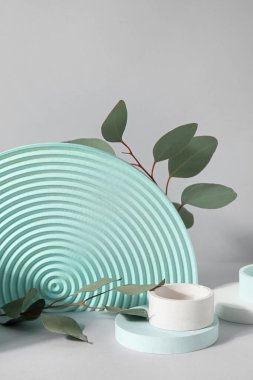 Plaster podiums and eucalyptus branches on white background