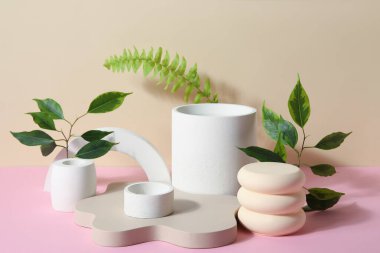 Plaster podiums with ficus and fern branches on pink table against beige background
