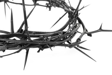 Crown of thorns on white background, closeup