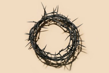 Crown of thorns on beige background