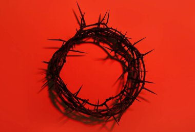 Crown of thorns on red background