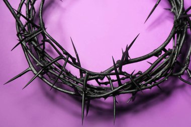 Crown of thorns on purple background, closeup