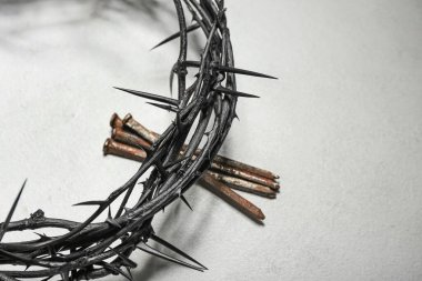 Crown of thorns and nails on light background, closeup