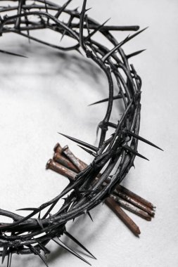Crown of thorns and nails on light background, closeup