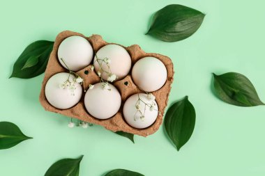 Package with Easter eggs, gypsophila flowers and plant leaves on green background