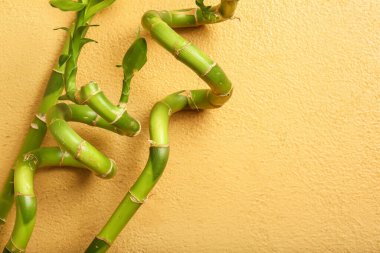 Bamboo branches on beige background, top view