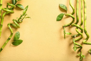Bamboo branches on beige background, top view