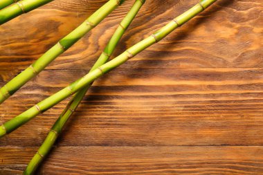 Ahşap arka plan bambu dallarda