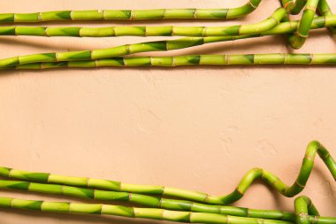 Bamboo branches on beige background