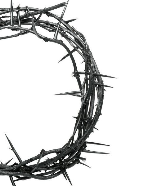 Crown of thorns on white background, top view