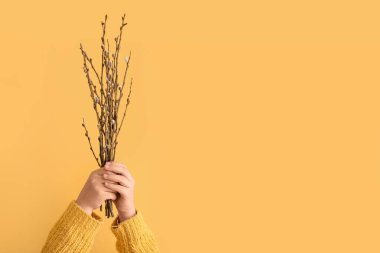 Woman holding willow branches on yellow background