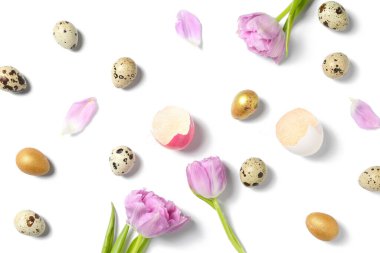 Composition with Easter eggs and tulip flowers isolated on white background