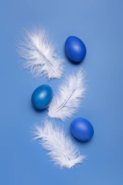 Composition with painted Easter egg and feathers on blue background