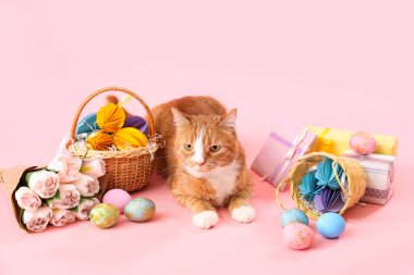 Cute cat with Easter eggs, gifts and tulips on pink background