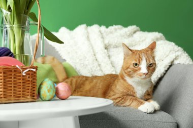 Cute cat on armchair and table with Easter eggs near green wall