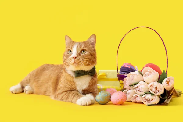 Cute Cat Basket Easter Eggs Gifts Tulips Yellow Background — Stock Photo, Image