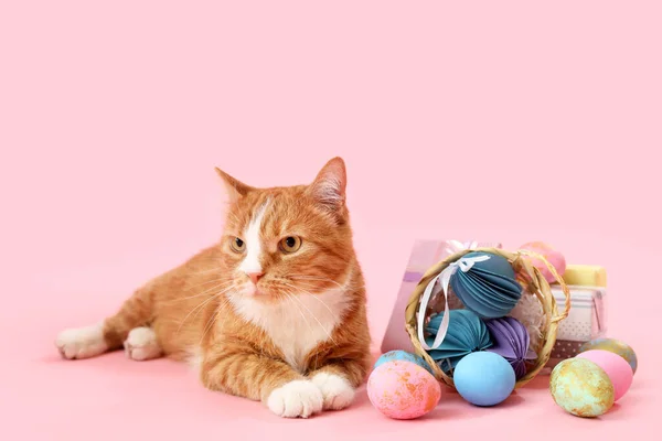 Милая Кошка Пасхальными Яйцами Подарками Розовом Фоне — стоковое фото